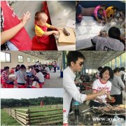 东西湖班级秋游有惊喜都夸不停体验项目多周末好机会马上来