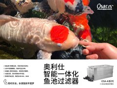 庭院锦鲤鱼池不是梦,选好鱼池过滤器是关键。 庭院锦鲤鱼池不是梦,选好鱼池过滤器是关键。