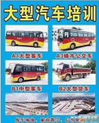 广州B2增驾A1需要的条件 省内考场包拿证