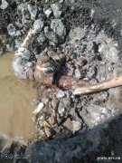 广州地下管网漏水检测，埋地暗管走向探测