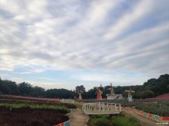 深圳广州周末出游好玩的东莞梦幻百花洲农家乐
