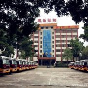 源增驾A3城市公交车