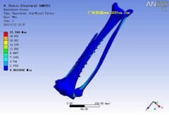 数字医学生物力学骨科口腔分析培训