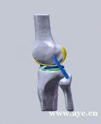 医学有限元分析培训可一对一可开班