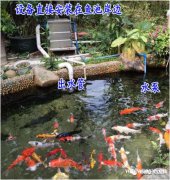 一体式不锈钢鱼池过滤器怎么安装 一体式不锈钢鱼池过滤器怎么安装