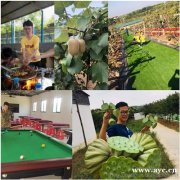 蔡甸班级出游户外绿色之旅培养独立关注互动成长带孩子来体验一番