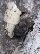 水费异常漏水检测，广州地下水管漏水检测