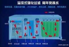 鱼池过滤怎么做