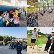 如何组织一场东西湖小学生秋游到底怎么玩活动专员都说大家评价好