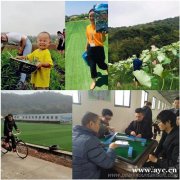 如何组织一场东西湖小学生秋游到底怎么玩活动专员都说大家评价好