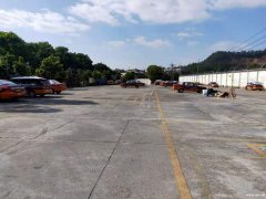 广州市天河区考小车三轮车大货车证