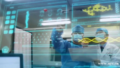 公安警务大数据可视化平台开发建设