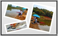 导游评价：光谷公司出游这有一个不错的拓展场地