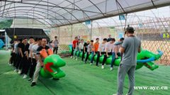 深圳一个公司拓展好玩的地方九龙生态园