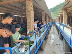 广州户外野餐做饭烧烤团建的农家乐