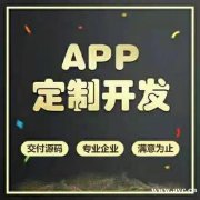 专业软件定制开发，承接软件外包服务，