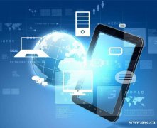 成如祥分销模式开发