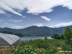 深圳公司拓展趣味户外活动，南山区周边田中园拓展基地