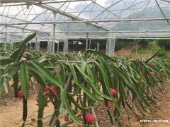 深圳公司团建加强团队的凝聚力团队间的信任感活动方案-深圳周边