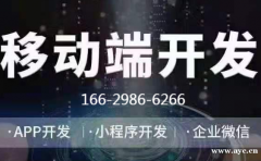 乐拼购模式系统开发（APP开发）