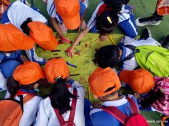 深圳龙岗最近很火的亲子游首选之地