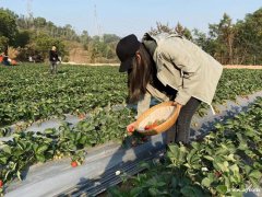 深圳龙华周边值得一去的农家乐九龙生态园