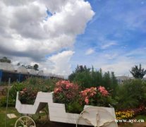 小编和大家说个不错的农家乐九龙生态园