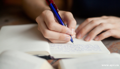 浅谈科学基金申请书主要内容的撰写