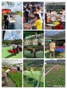 深圳龙岗美丽乡村农家乐九龙生态园