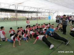 深圳龙岗周末带孩子出去玩有什么好的地方的推荐