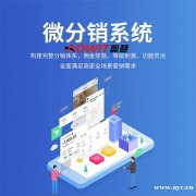 分销商城模式系统开发