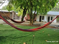 海珠区班级游亲子游该去哪里好