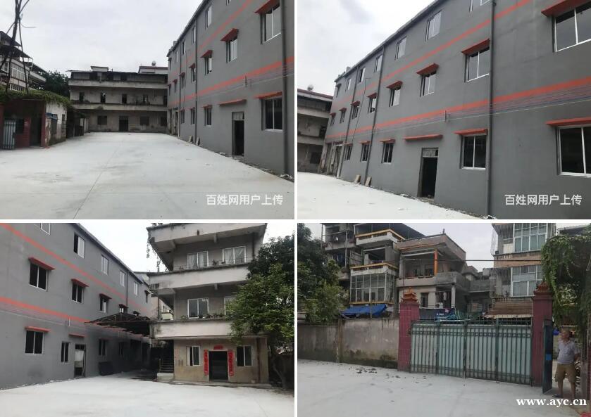 琶洲板块:新洲各种面积的仓库、厂房出租 琶洲板块:新洲各种面积的仓库、厂房出租