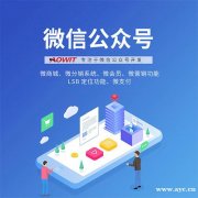 微信小程序公众号开发定制