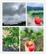 武汉拓展基地那个景区记忆犹新老导游竖起大拇指