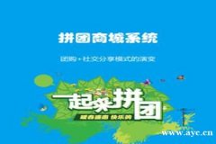 全民拼团系案例模式