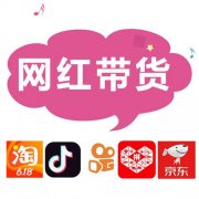 实力网红主播直播带货，粉丝流量变现，短视频风口，网店厂家