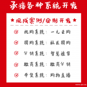 时闰女巫面具新零售系统搭建