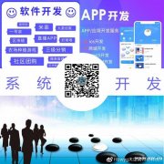 言蕾回春面具分销模式开发