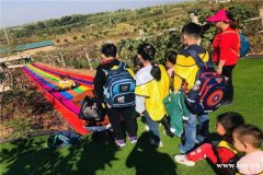 武汉员工一日游何处寻这个景点让你的团队再升温真的要错过