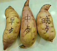 注册给排水找单位，唯一社保带职称有需要的吗？