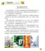 东北林业大学自考本科软件工程专业招生 可申请学士学位