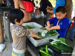 广州周边亲子研学拓展去哪好