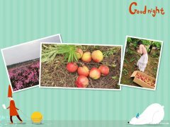 请相互告知，东西湖采摘基地哪里好乐农景区果香四溢