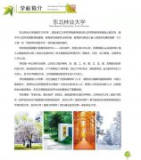 东北林业大学自考本科带学位产品设计专业助学自考招生