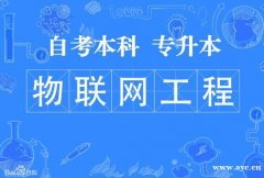 正规专升本考试难度小自考本科物联网工程专业有学位