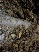 深圳地下暗管漏水检测费用、水管掉压漏水检测