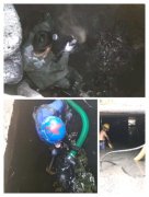 广州本地专业通厕所抽化粪池市政管道清污等