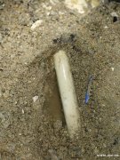 广州专业漏水检测公司，小区漏水检测，家里漏水检测