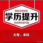 自考专科学历提升湖南涉外经济学院视觉传播设计专业